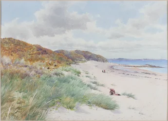 Warkworth Sands
